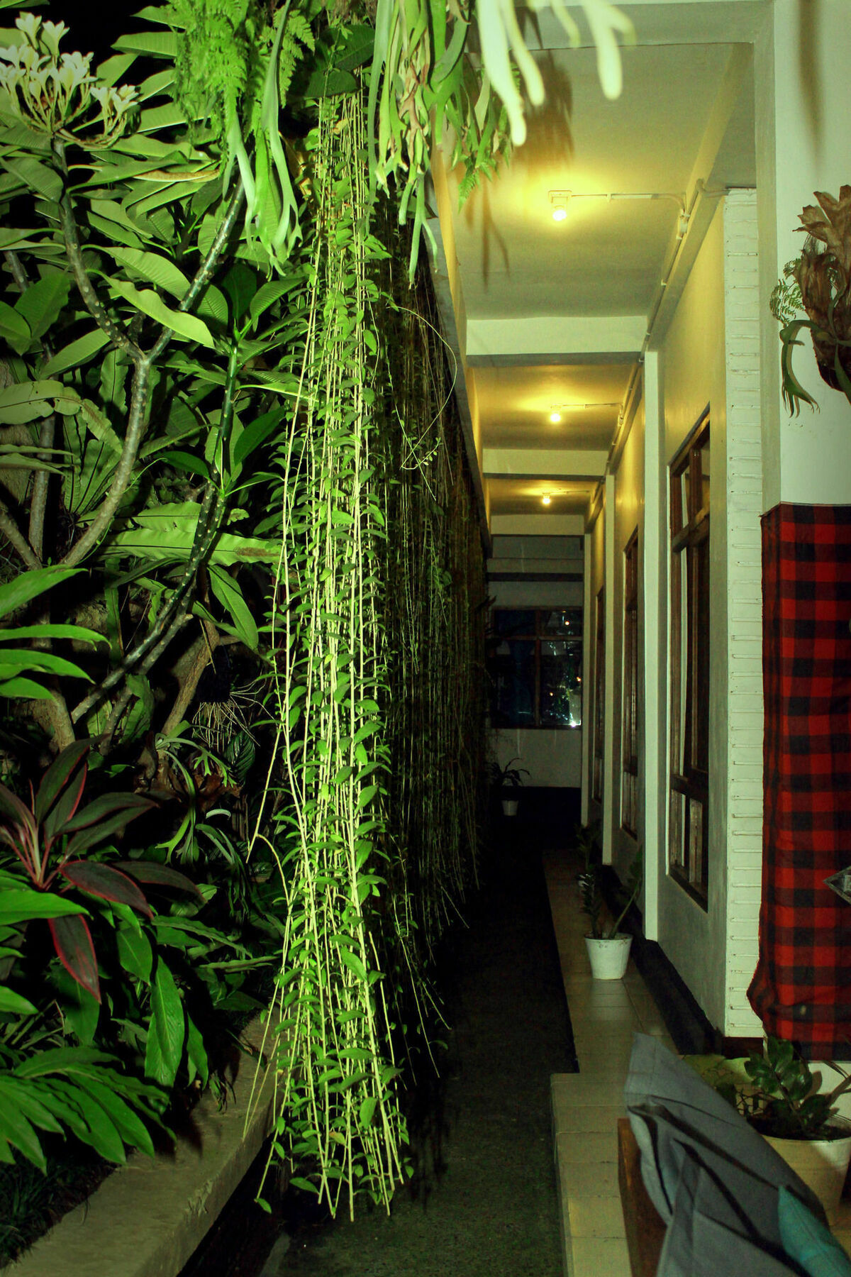 Hostel Friendly House Bali Ubud Exterior foto